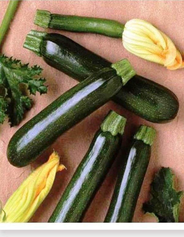 Agrodal Tarım Agrodal Tarım Ata Tohumu Yerli Kara Kabak Karagül 20 Adet Tohum - Image 1