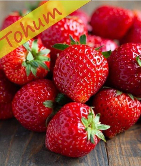 Agrodal Tarım Yerli Çilek Yediveren Tohum 0,1 Gr - Image 1