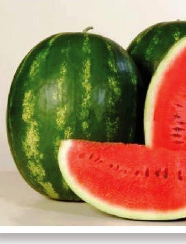 Agrodal Tarım Ata Tohumu Doğal Diyarbakır Karpuzu Ala Karpuz 100 Adet Yerli Tohum - Image 1