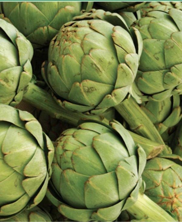 Agrodal Tarım Ata Tohumu Yerli Doğal Saray Mutfağı Enginar 20 Adet Tohum - Image 1