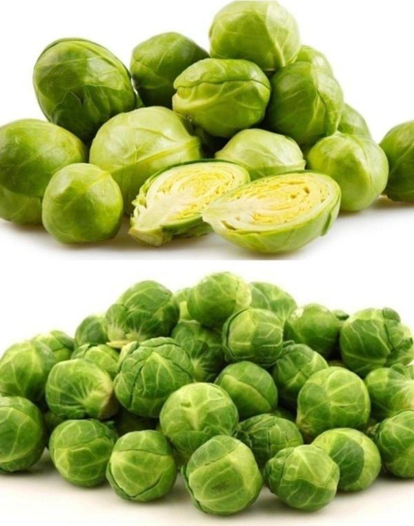 Agrodal Tarım Doğal Minik Brüksel Lahanası 150 Adet Sebze Tohumu - Image 1