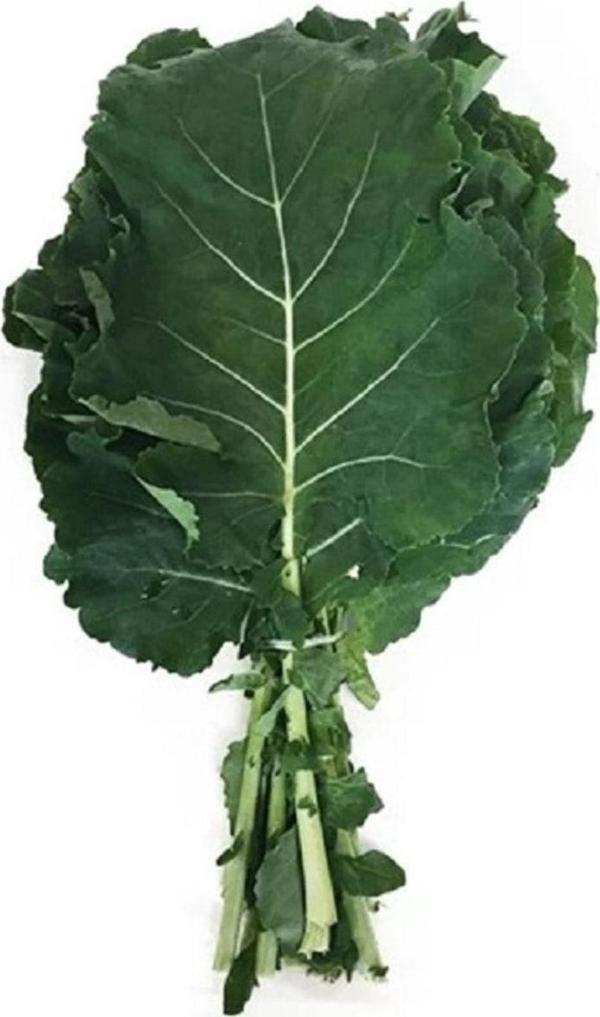 Agrodal Tarım Ata Tohumu Yöresel Doğal Kara Lahana Karadeniz Lahanası, Yaprak Lahana 100 Adet Yerli Tohum - Image 1
