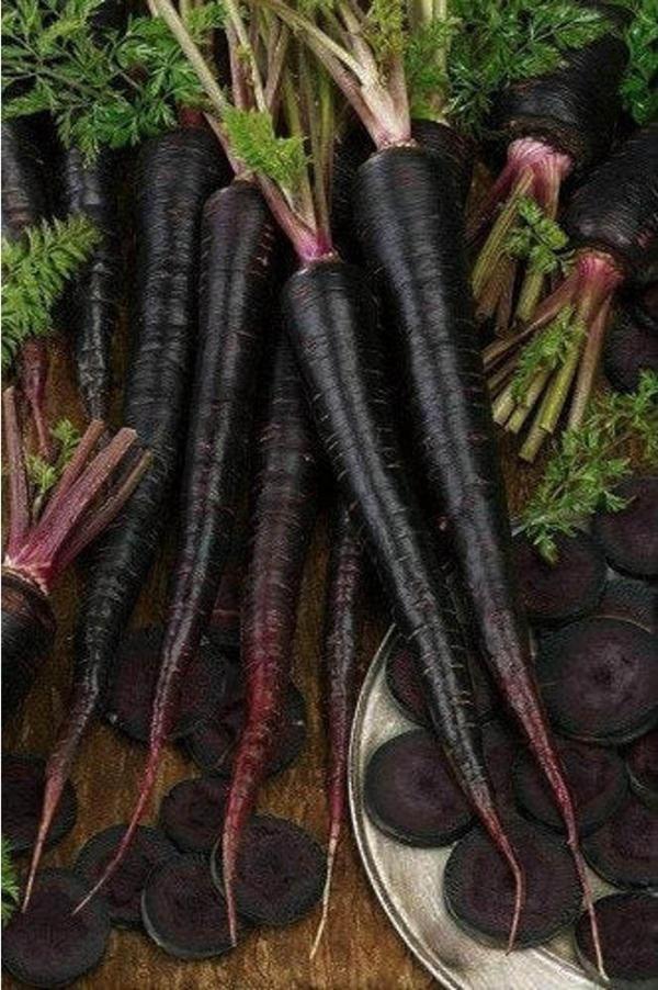 Agrodal Tarım Ata Tohumu Yerli Doğal Siyah Mor Havuç Tohumu 1000 Ad. Sebze Tohumu - Image 1