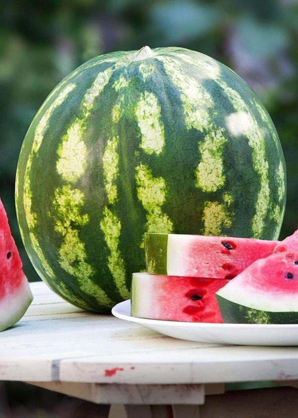 Agrodal Tarım Ata Tohumu Yerli Doğal Diyarbakır Karpuzu C.Sweet Tipi 100 Ad. Sebze Tohumu - Image 1