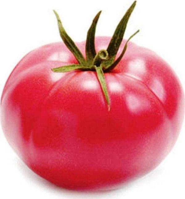 Agrodal Tarım Ata Tohumu Yerli Doğal Ege Pembesi Oturak Domates Tohumu 100 Ad. Sebze Tohumu - Image 1