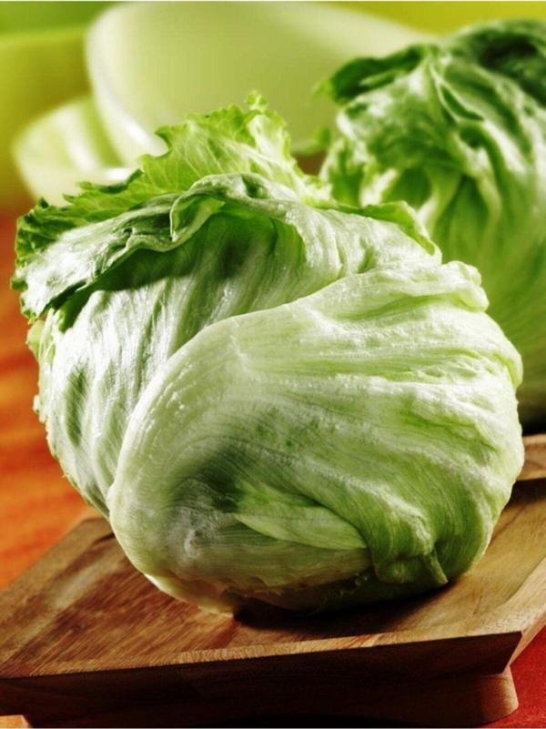 Alpagro Monde Yerli Doğal Göbek Marul (Iceberg) Tohumu 100 Ad. Tohum - Image 1