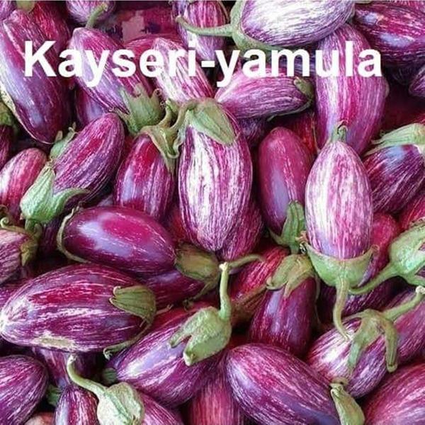 Agrodal Tarım Ata Tohumu Yöresel Kayseri Yamula Patlıcanı Pijamalı Patlıcan 50 Adet Tohum - Image 1