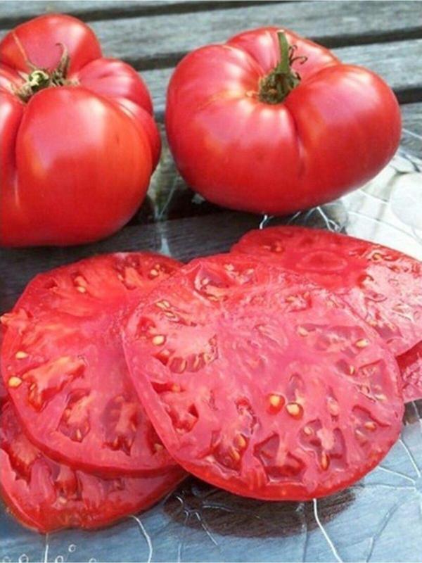 Alpagro Monde Doğal Iri Meşhur Oturak Nergele Domatesi Sebze Tohumu 100 Ad. Yerli Tohum - Image 1