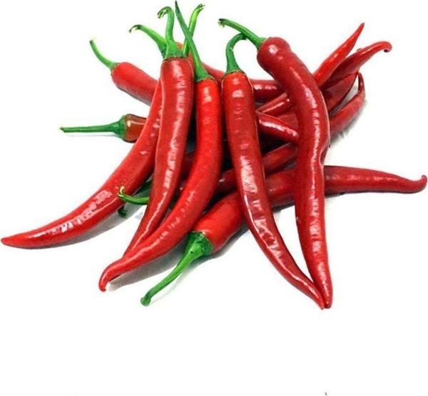 Agrodal Tarım Ithal Doğal Acı Şili Biberi Acı Biber Hot Chılean Pepper 100 Ad Tohum - Image 1