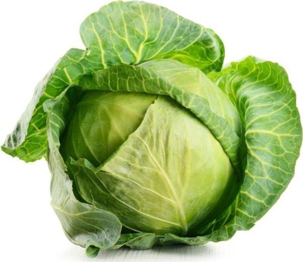 Alpagro Monde Doğal Beyaz Lahana Yalova Tipi Sebze Tohumu 100 Ad. Yerli Tohum - Image 1