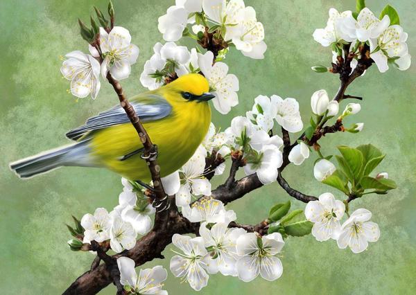 Nova 1000 Parça Baharın Habercisi Puzzle - Image 1