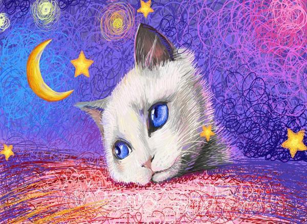 Nova 1000 Parça Puzzle - Yıldızların Altında - Beyaz Kedi - Image 1