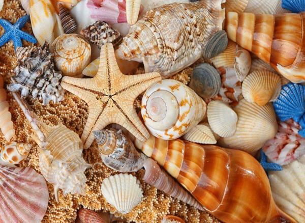 Nova Puzzle Kumsaldan Bana Kalanlar 1000 Parça Puzzle - Image 1