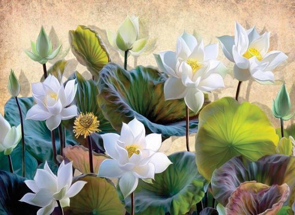 Nova Puzzle 1000 Parça Beyaz Nilüfer Çiçekleri Puzzle - Image 1