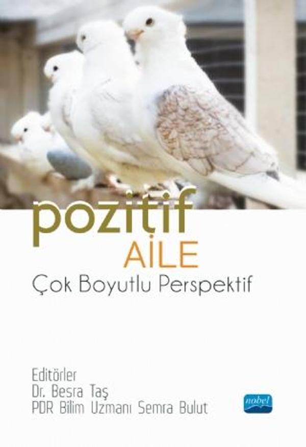 POZİTİF AİLE - Çok Boyutlu Perspektif - Nobel Akademik Yayıncılık - Image 1