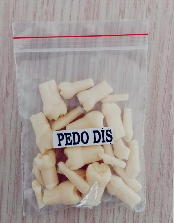Fantom Çene Pedo Diş Takımı  - Diş Hekimliği Fakültesi Öğrencileri Eğitimi İçin Fantom  24 'lü Diş - Image 1