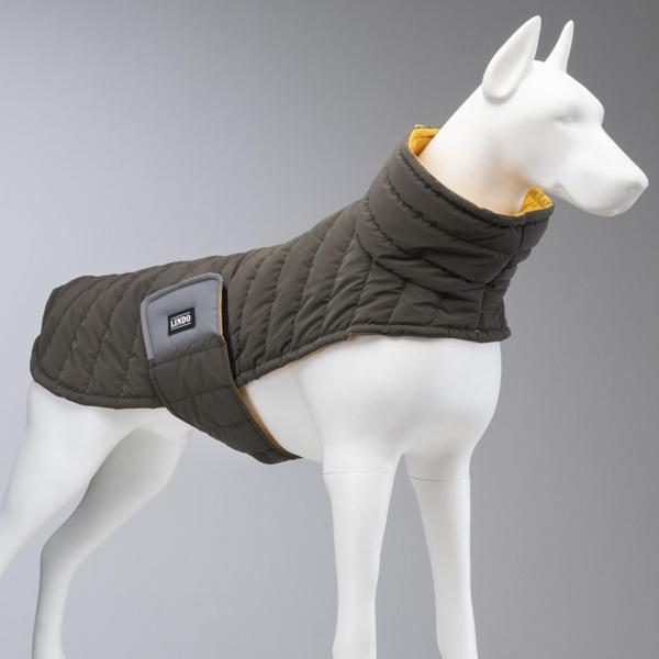 Lindo Dogs Air Puff Mango Köpek Montu Kahverengi Beden 8 - Image 1