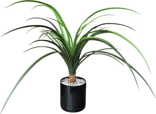 Yapay Çiçekçiniz TAŞ KAPLI SİYAH RENKLİ SAKSIDA 55 CM YAPAY YUKA AĞACI - Image 1