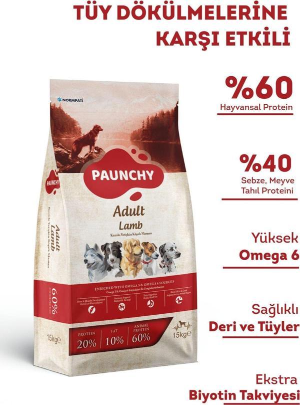 PAUNCHY KUZULU YAVRU KÖPEK MAMASI 15 KG - Image 1