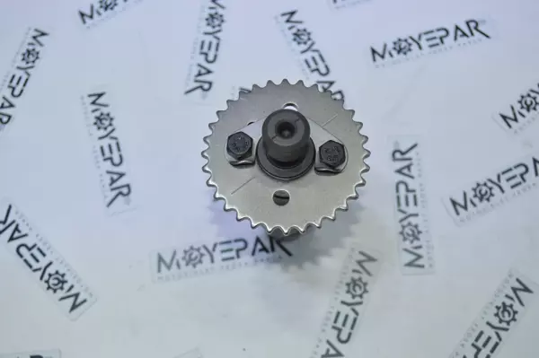 RKV 023 RKS TİTANİK 150 EKSANTRİK MİLİ (MSR) - Image 1