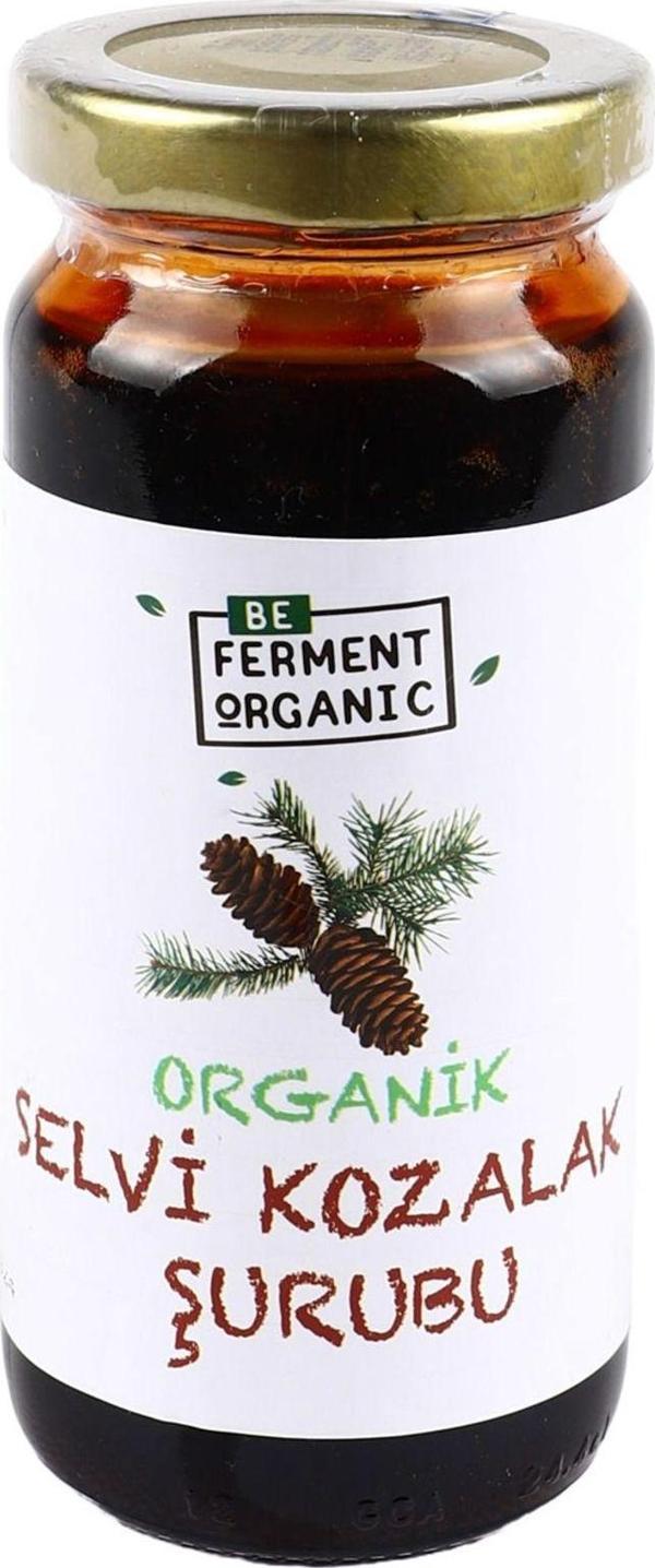 Beorganic Organik Çam Kozalağı Şurubu 280 G - Image 1