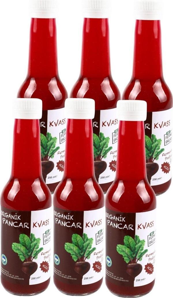 Beorganic Organik Pancar Kvass Chili Biberli 250 Ml * 6 Adet - Image 1