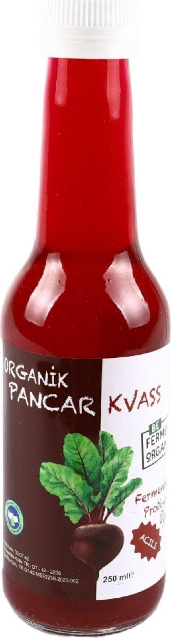 Beferment Organik Kırmızı Acılı Pancar Kvass 250 Ml - Image 1