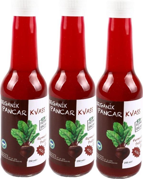 Beferment Organik Pancar Kvass Chili Biberli Acılı 250 Ml * 3 Adet - Image 1