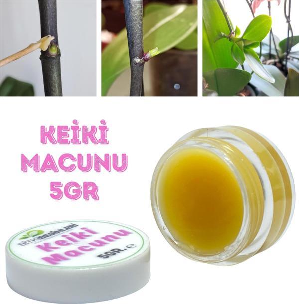 KEİKİ MACUNU ORKİDE VE BİTKİ ÇOĞALTMA DAL ÇIKARMA 5GR - Image 1