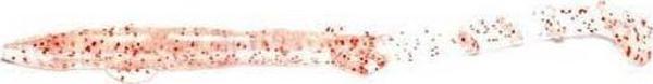 Sea Horse Silikon Zargana K.Balığı 8cm KS2 10lu Pk - Image 1