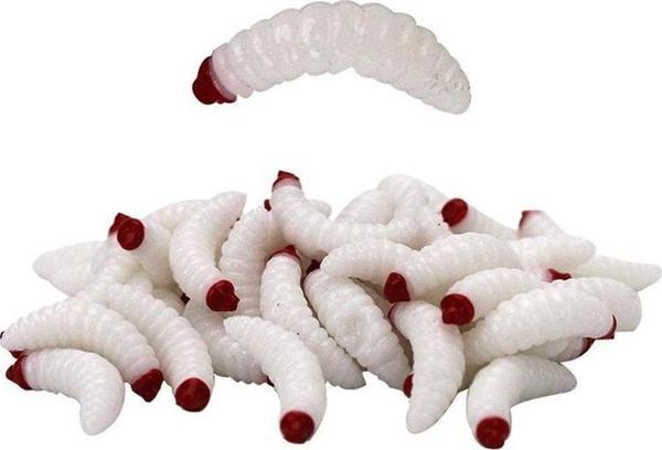 Sea Horse Worm  2 Cm White-Red Head 10 Pcs - Image 1