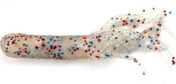 Shakespeare J.J Bait Actıon Tube  3,5"20lipkt - Image 1