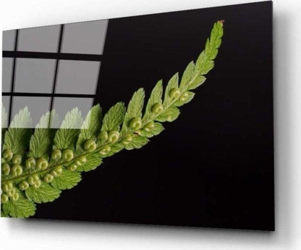İdealizbiz Yaprak Cam Tablo - Image 1