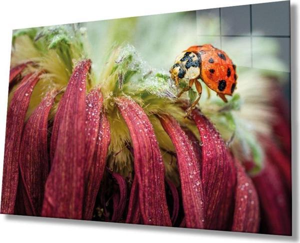 İdealizbiz Uğur Böceği Ve Yaprak Cam Tablo, Ev Ve Ofis Duvar Dekoru, Hediyelik Büyük Temperli 4 Mm Cam Tablo - Image 1