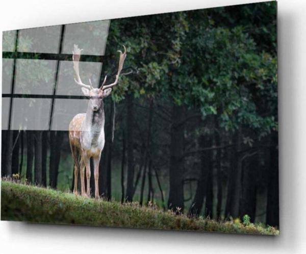 İdealizbiz Geyik Cam Tablo - Image 1
