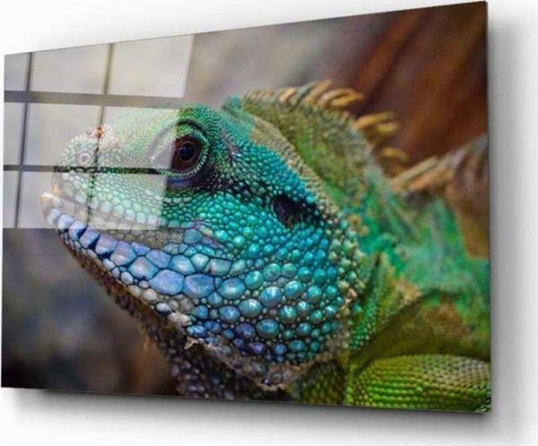 İdealizbiz Iguana Cam Tablo - Image 1