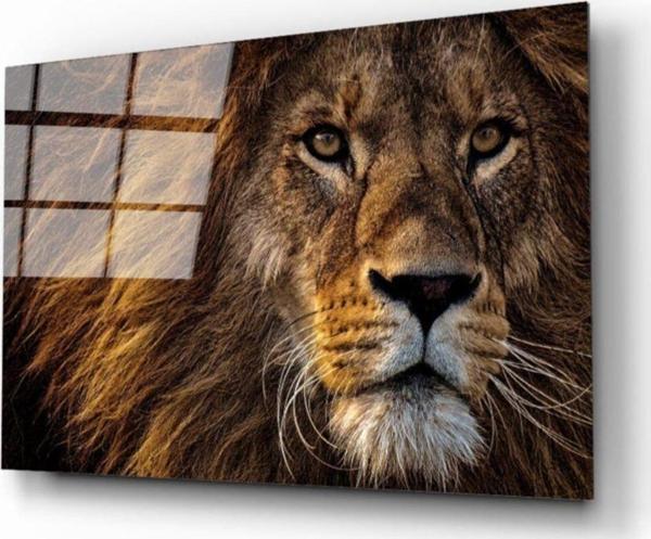 İdealizbiz Aslan 11 Cam Tablo - Image 1