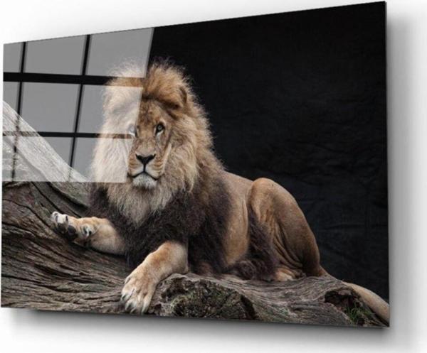 İdealizbiz Aslan 12 Cam Tablo - Image 1