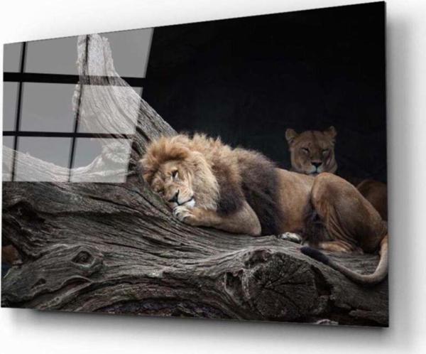 İdealizbiz Aslan Cam Tablo - Image 1