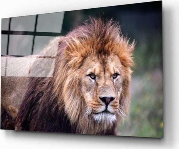 İdealizbiz Aslan 4 Cam Tablo - Image 1