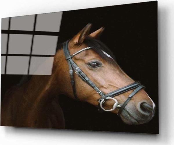 İdealizbiz At 2 Cam Tablo - Image 1