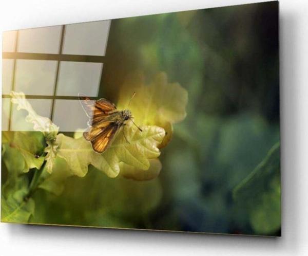 İdealizbiz Kelebek 2 Cam Tablo - Image 1