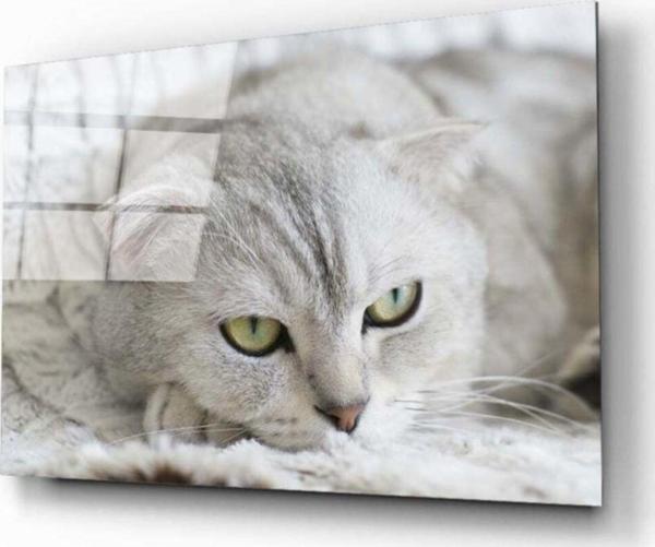 İdealizbiz Kedi Cam Tablo - Image 1