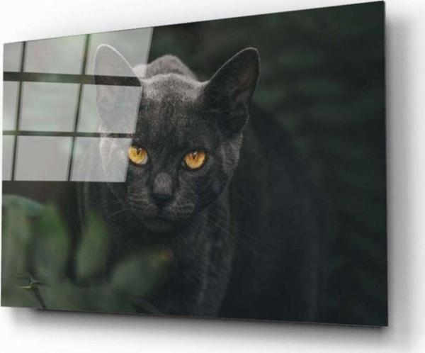 İdealizbiz Siyah Kedi Cam Tablo - Image 1
