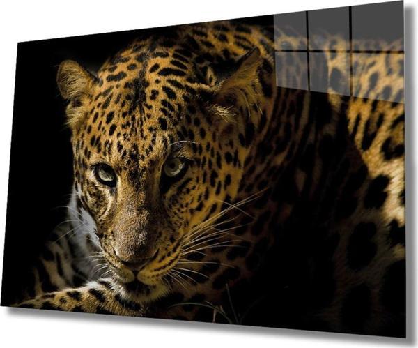 İdealizbiz Leopar Hayvan Cam Tablo - Image 1