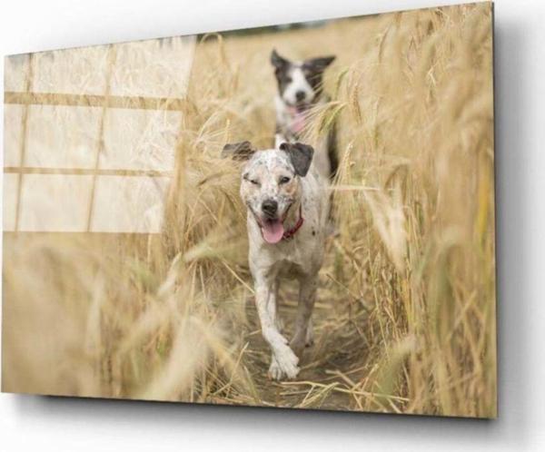 İdealizbiz Köpek 2 Cam Tablo - Image 1