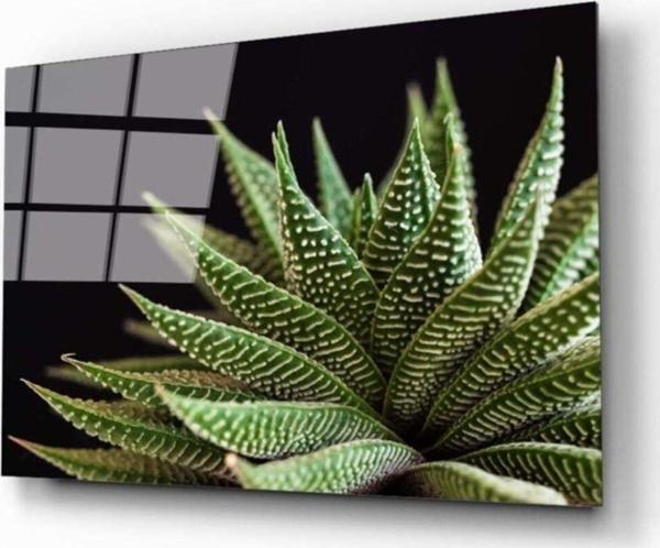 İdealizbiz Alovera Cam Tablo - Image 1
