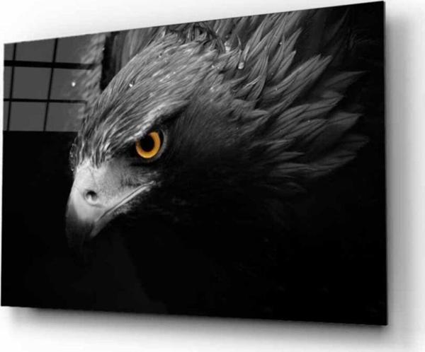 İdealizbiz Kartal 4 Hayvan Cam Tablo - Image 1