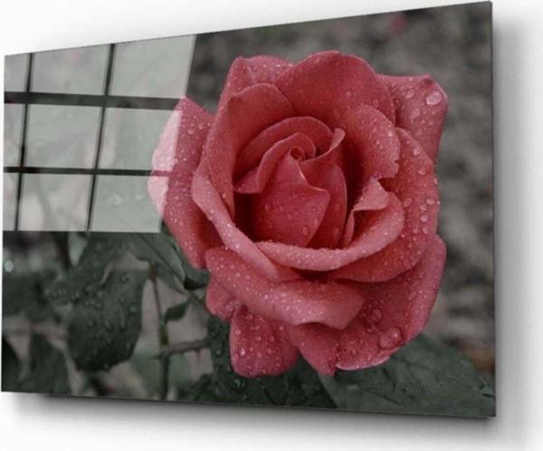İdealizbiz Gül 1 Cam Tablo - Image 1