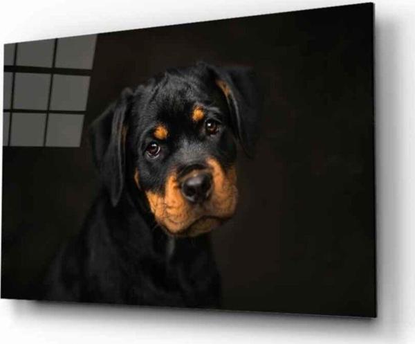 İdealizbiz Köpek 6 Cam Tablo - Image 1